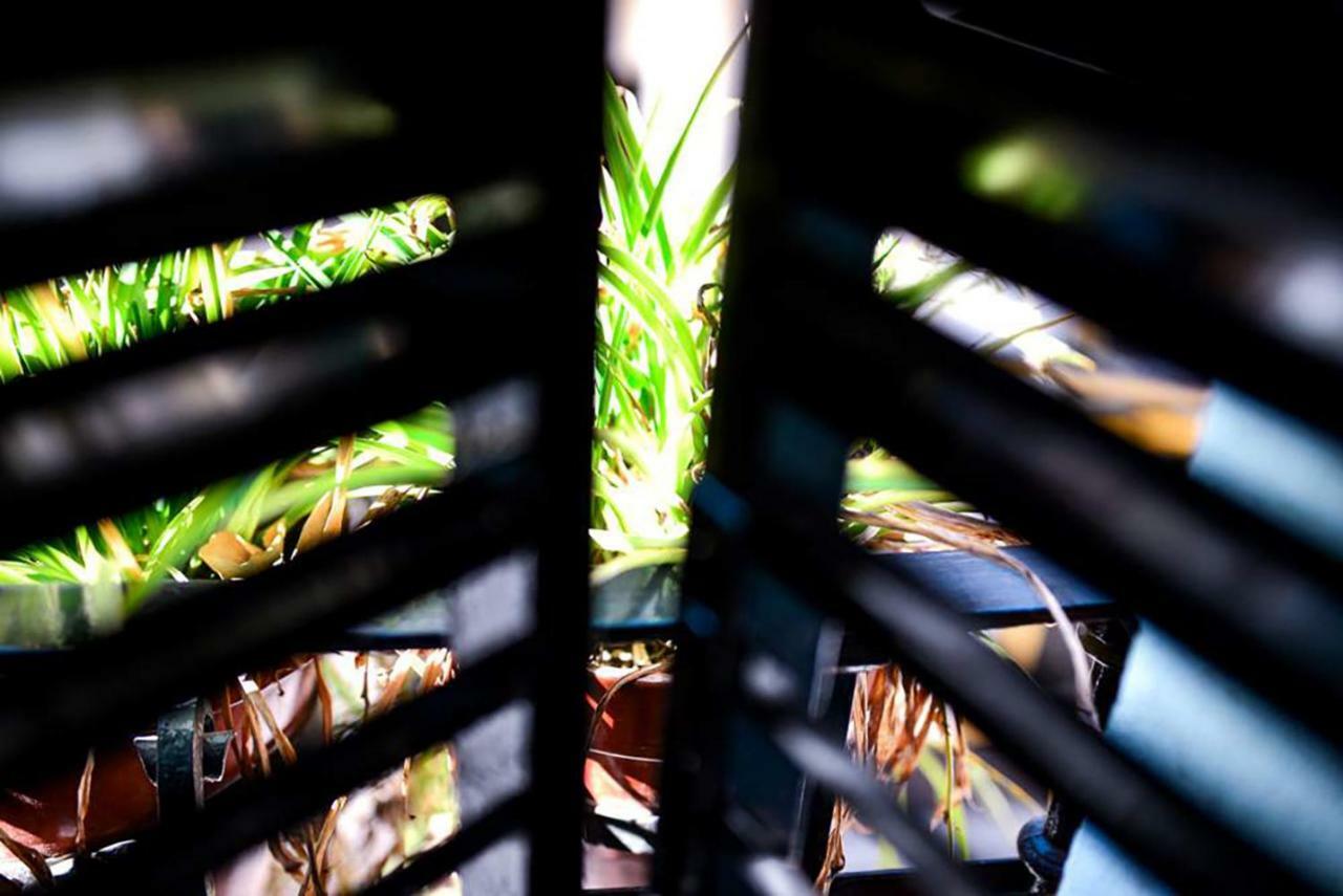 Casa Alfalfa 2 Dormitorios Terraza Y Solarium Privado Sevilla Bagian luar foto